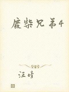 废柴兄弟4封面