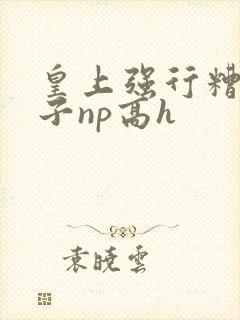 皇上强行糟蹋太子np高h