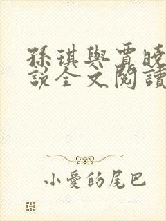 孙琪与贾晓静小说全文阅读