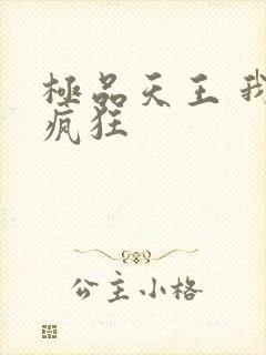 极品天王 我本疯狂