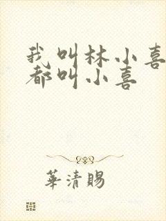 我叫林小喜大家都叫小喜封面