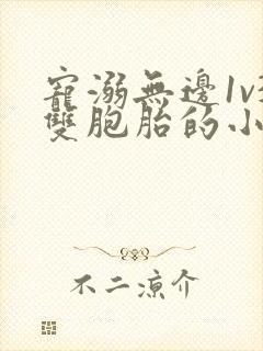 宠溺无边1v3双胞胎的小说