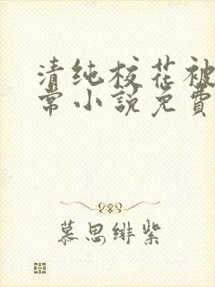 清纯校花被擒日常小说免费阅读全文
