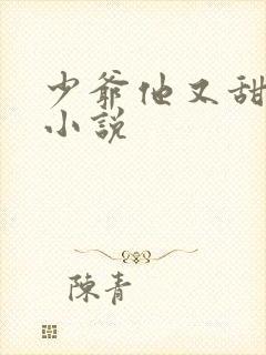 少爷他又甜又野小说封面
