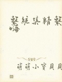 系统集精系统高嗨