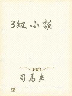 3级小说