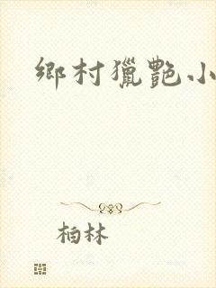乡村猎艳小说