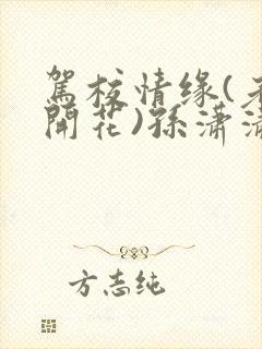 驾校情缘(老树开花)孙潇潇笔趣阁