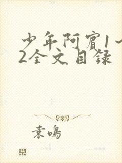 少年阿宾1～72全文目录