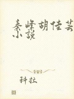 秦峰胡佳芸正版小说