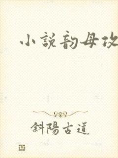 小说韵母攻略