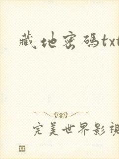 藏地密码txt封面
