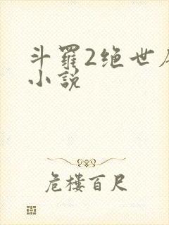 斗罗2绝世唐门小说