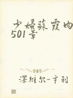 少妇苏霞肉欲第501章封面