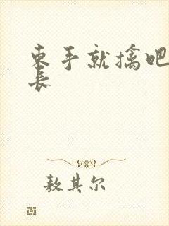 束手就擒吧韩队长