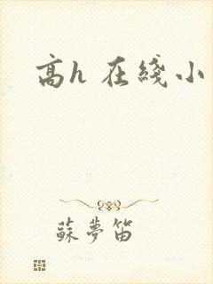 高h 在线小说
