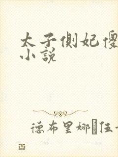 太子侧妃傻乎乎小说