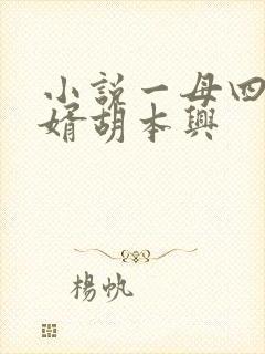 小说一母四女一婿胡本兴