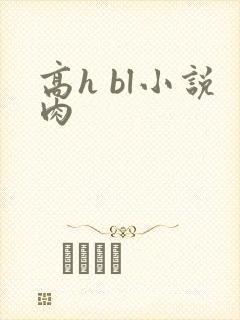 高h bl小说肉