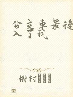 公交车最后一排入了我