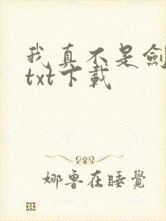 我真不是剑神啊txt下载