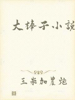 大棒子小说