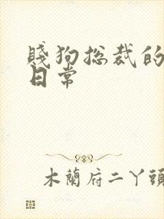 贱狗总裁的私教日常
