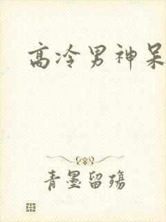 高冷男神呆萌妻