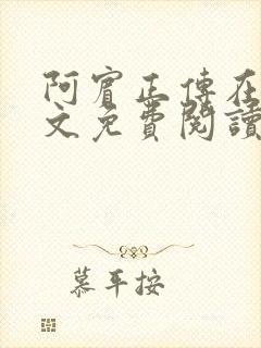 阿宾正传在线全文免费阅读无删减