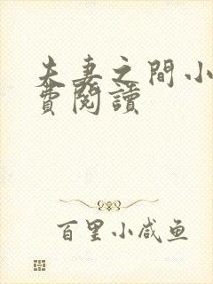 夫妻之间小说免费阅读