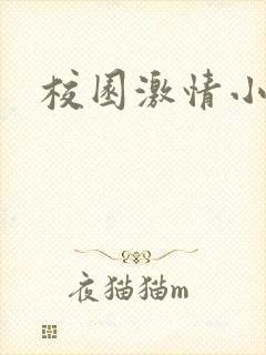 校园激情小说封面