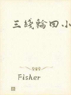 三线轮回小说