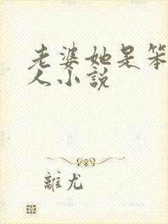 老婆她是笨蛋美人小说