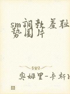 sm调教羞耻姿势图片