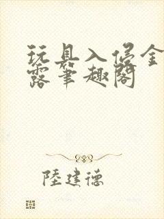 玩具入侵金银花露笔趣阁封面