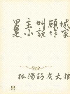男主叫顾城女主是小说作家的小说