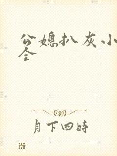 公媳扒灰小说大全封面
