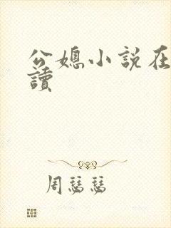 公媳小说在线阅读