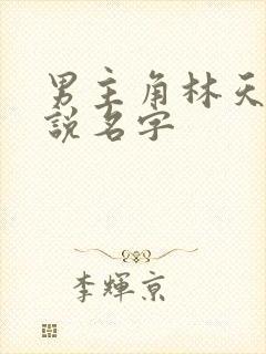 男主角林天的小说名字封面