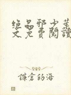 绝品邪少叶潇全文免费阅读