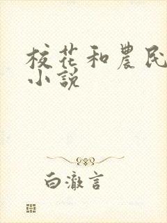 校花和农民工 小说