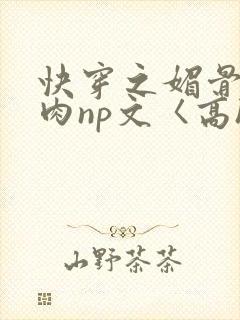 快穿之媚骨h啪肉np文〈高h〉封面