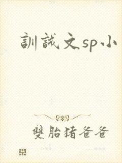 训诫文sp小说封面