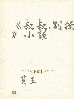 《叔叔,别撩我》小说