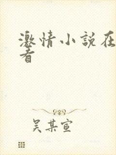 激情小说在线观看封面