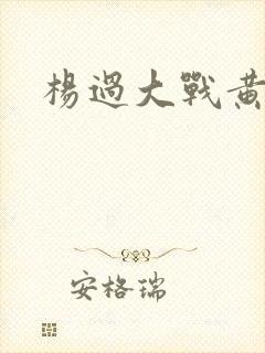 杨过大战黄蓉封面