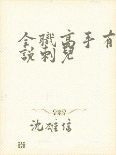 全职高手有声小说刺儿封面