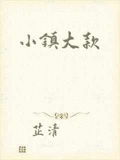 小镇大款封面