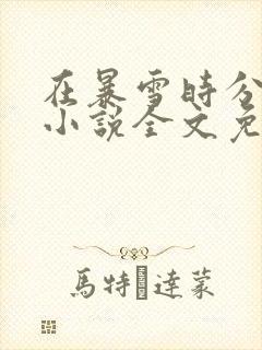 在暴雪时分原著小说全文免费阅读