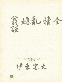 翁媳乱情全部小说